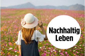 MELLIFERA Blühpatenschaft Gutschein 25m² für 1 Jahr