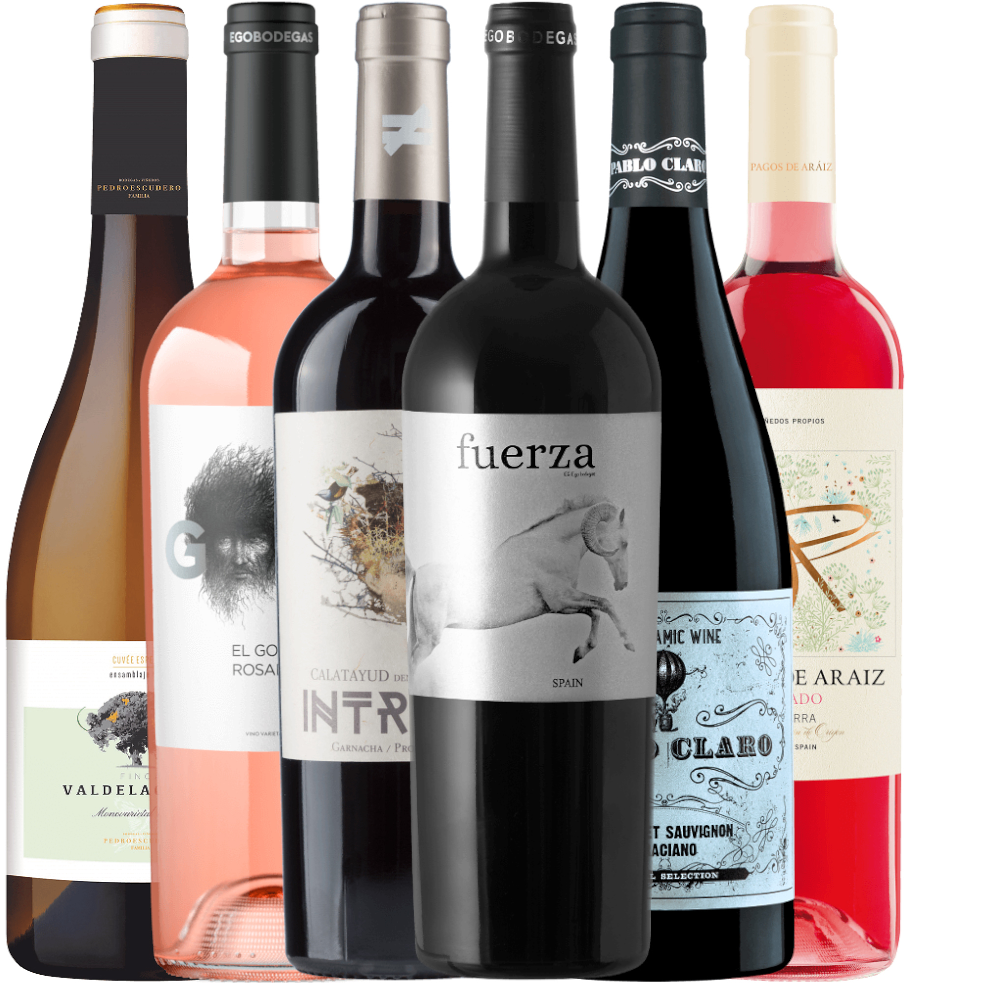 VINELLO Weinpaket 6 Weine «Spaniens Beste»